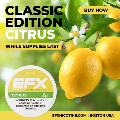 EFX NICOTINE POUCHES (tm) | 5PK LOGS - Image 7